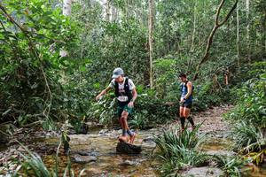 BIB: 5312
                            <button type="button" onclick="openModal(22354456)" class="btn btn-primary btn-sm float-right btn-popup" data-toggle="modal" data-target=".modal-high-quality">
                        <i class="fas fa-shopping-cart"></i> Add to Cart
                    </button>
                                            <button type="button" onclick="isThisMe(22354456, true)" class="btn btn-success btn-sm float-right btn-popup btn-isme hidden" data-toggle="tooltip" data-placement="bottom" title="นี่คือรูปของคุณใช่ไหม คลิกที่นี่เพื่อเอาเข้าอัลบั้ม">
                        <i class="fas fa-plus"></i> Add to album
                    </button>
                    <button type="button" onclick="isThisMe(22354456, false)" class="btn btn-warning btn-sm float-right btn-popup btn-isnotme hidden">
                        <i class="fas fa-ban"></i> Remove from album
                    </button>